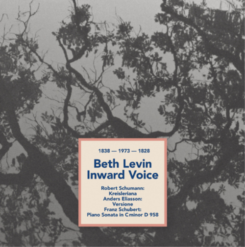 Beth Levin Beth Levin: Inward Voice (CD) Album