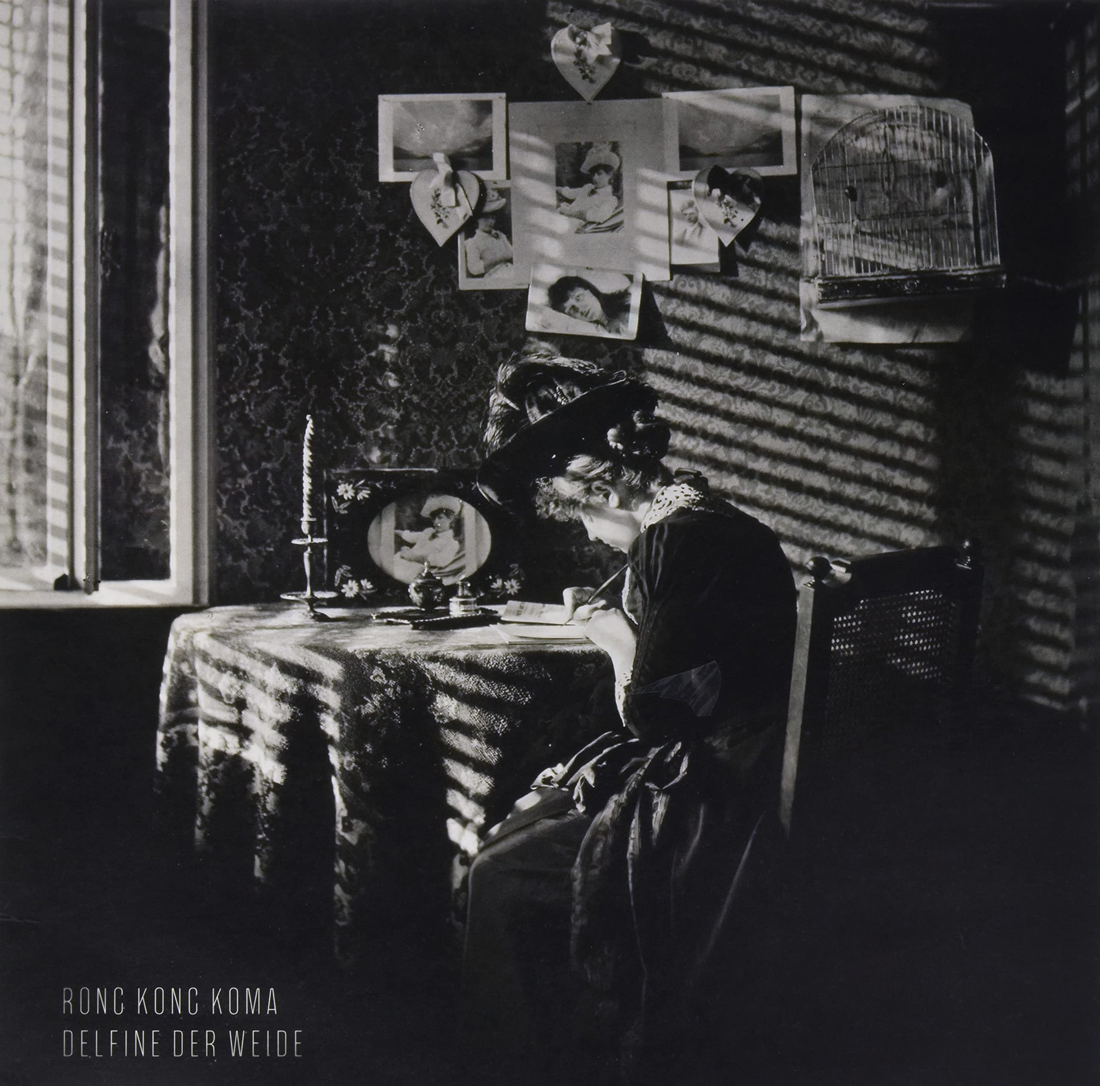 Rong Kong Koma Delfine der Weide (Vinyl LP)
