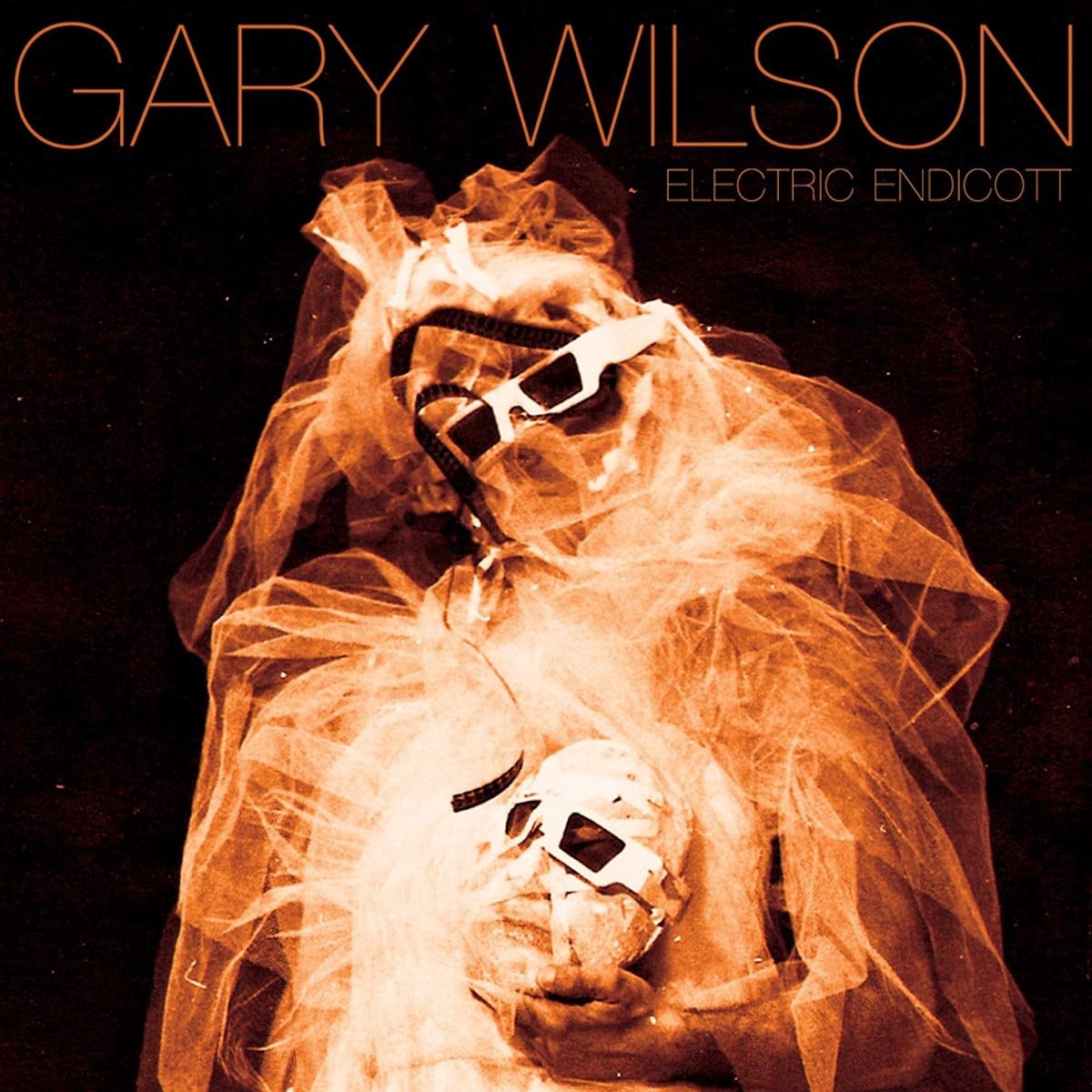 Gary Wilson Electric Endicott (CD)