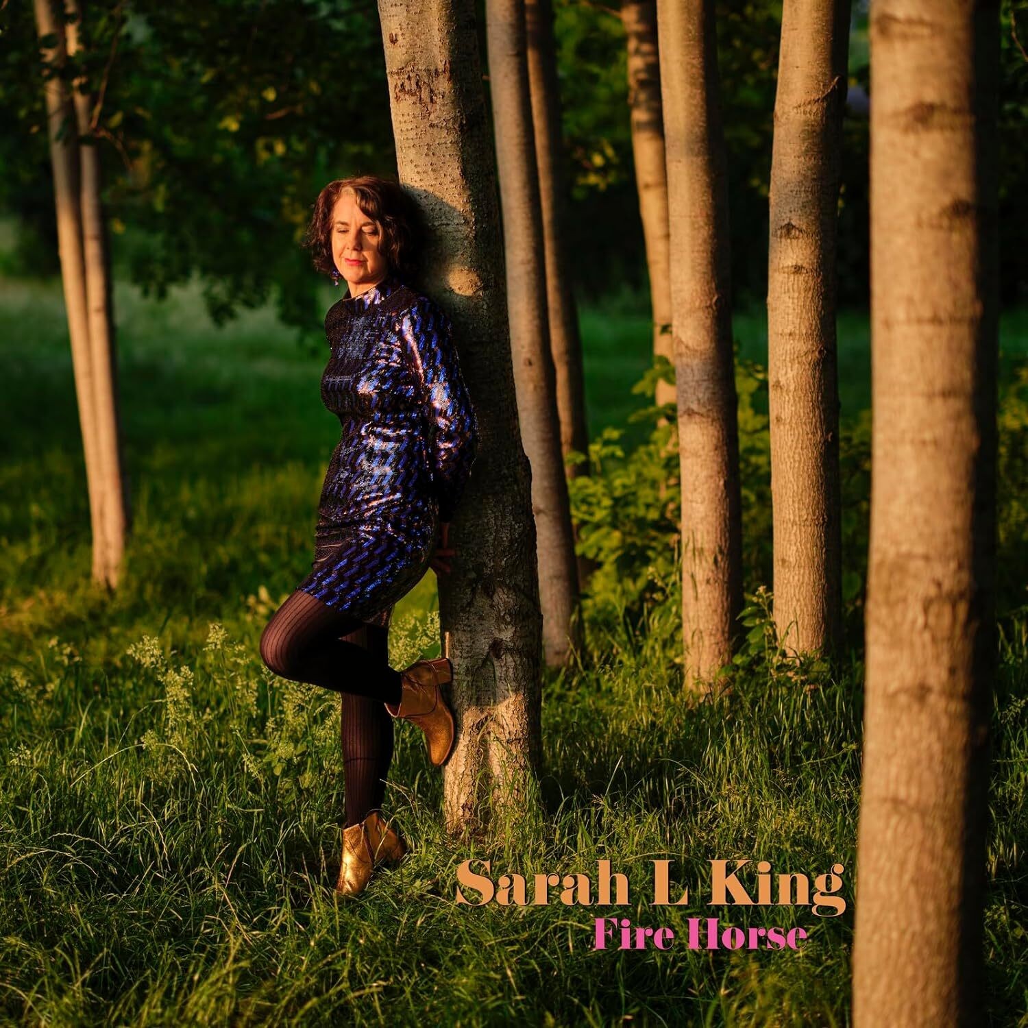 Sarah L King Fire Horse (CD) Album