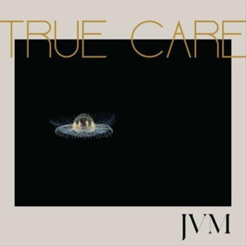 True Care by MCMORROW,JAMES VINCENT