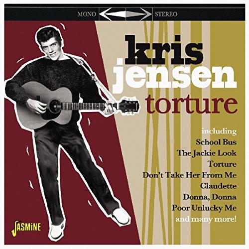 Torture by JENSEN,KRIS
