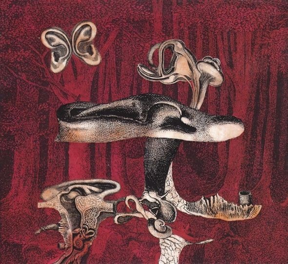 Anvil Fx Prova De Biologia