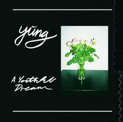 Yung A Youthful Dream (Vinyl LP) 12" Album (Clear vinyl)