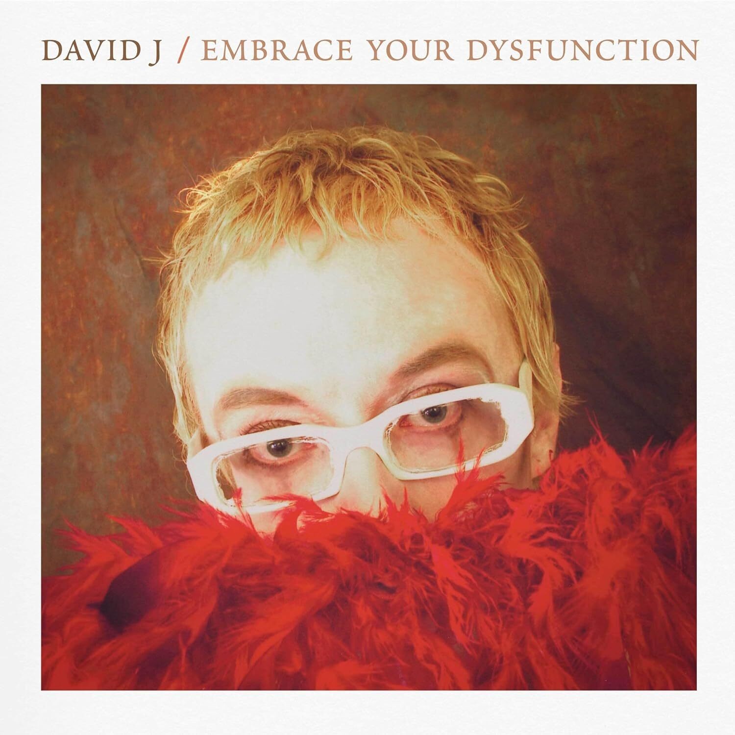 David J Embrace Your Dysfunction (CD) Album