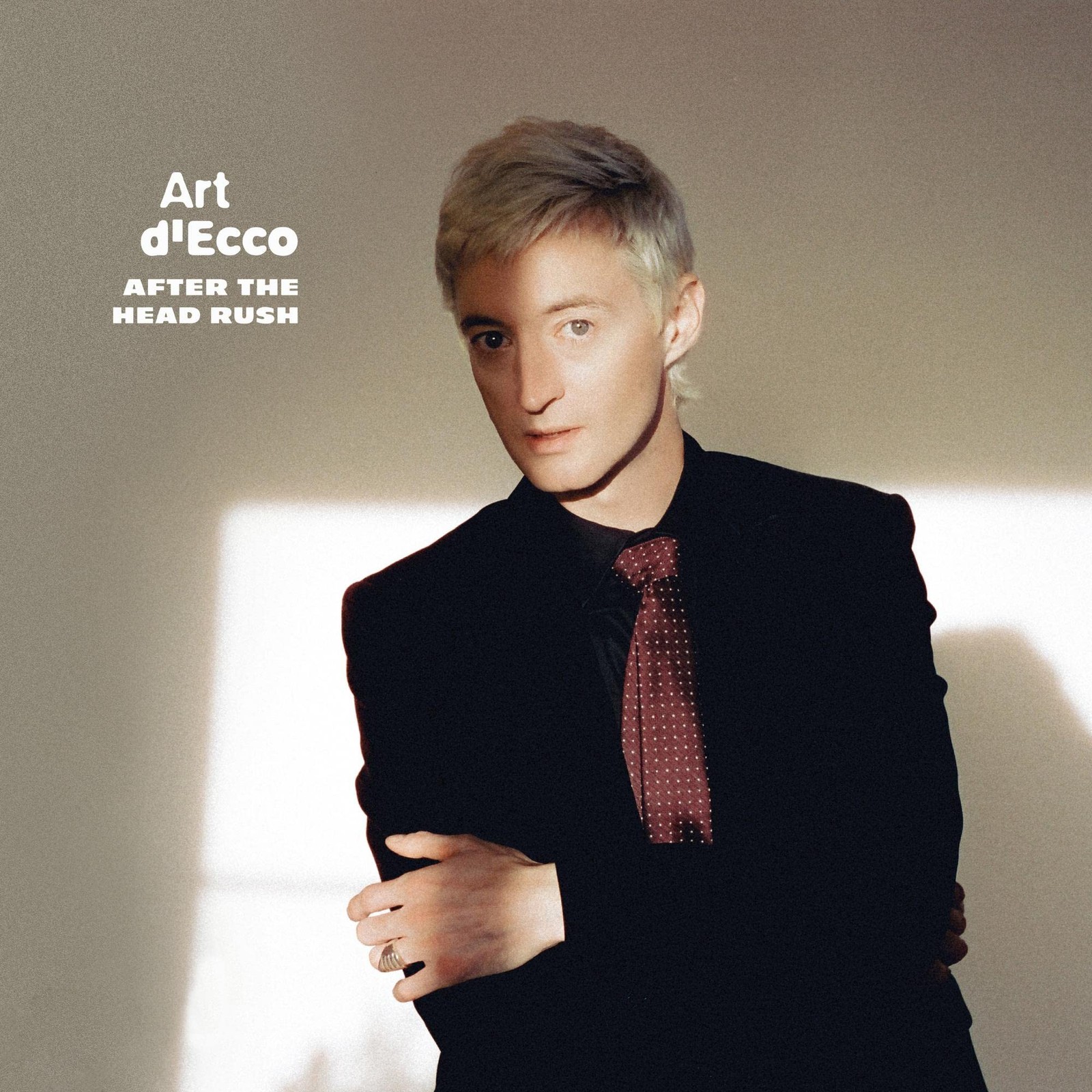 Art d'Ecco After The Head Rush (Vinyl LP)