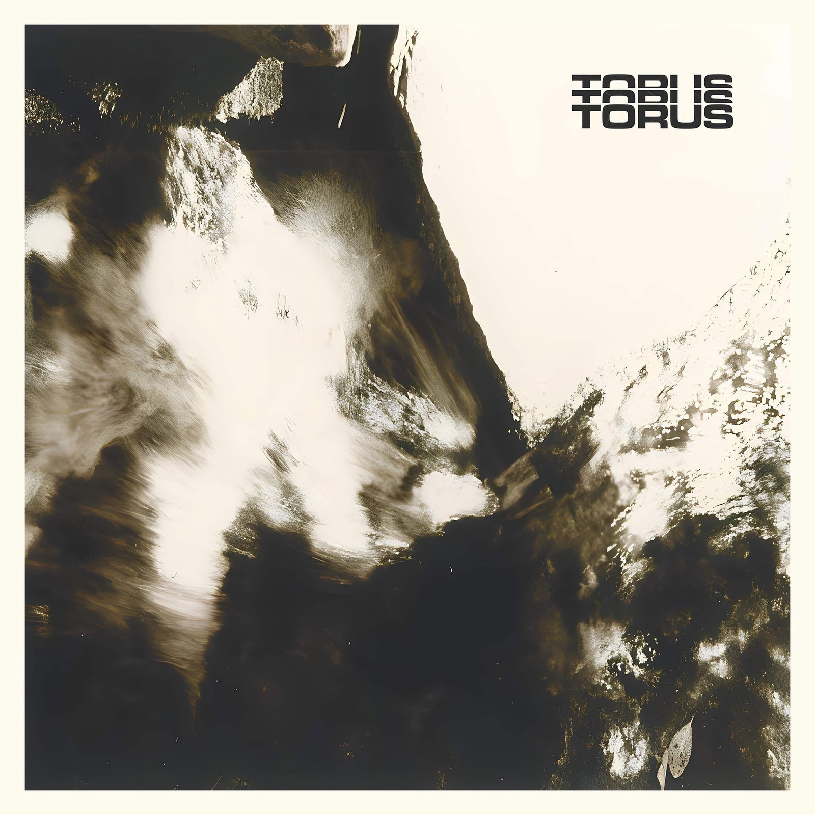 Torus Torus (CD) Album