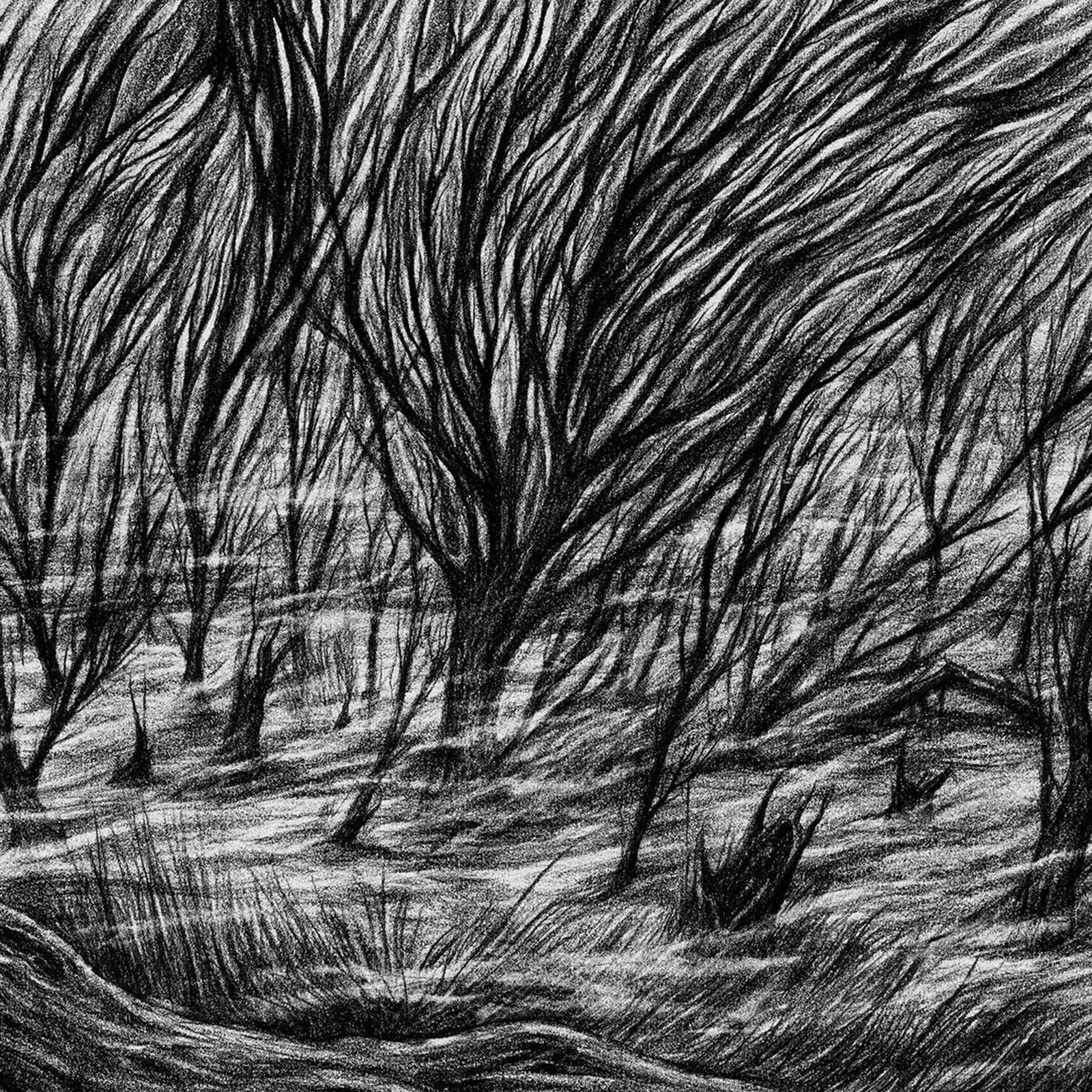Bismuth The Eternal Marshes (Vinyl LP)