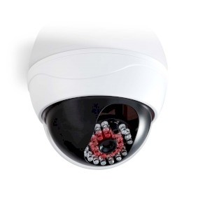 NDS Videocamera di sicurezza fittizia  Cupola  Alimentazione a batteria  Interno