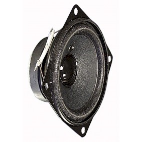 NDS Altoparlante full-range 6,5 cm (2,5) 4 Ohm