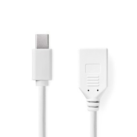 NDS 0,20 METRI Cavo Mini DisplayPort  DisplayPort 1.2  Mini DisplayPort maschio