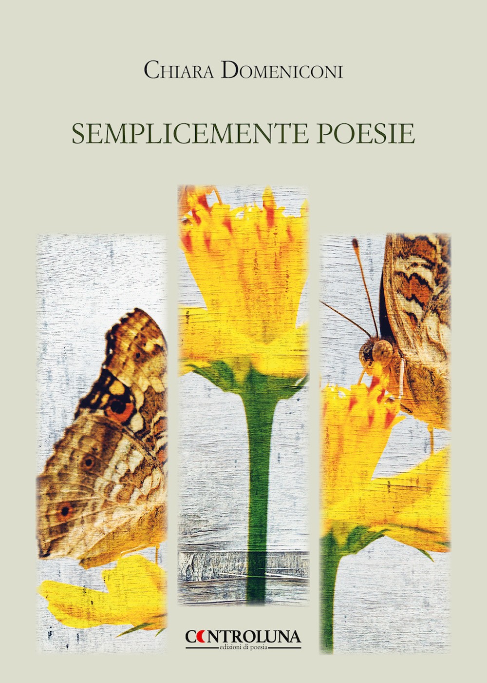 Semplicemente poesie - Domeniconi Chiara