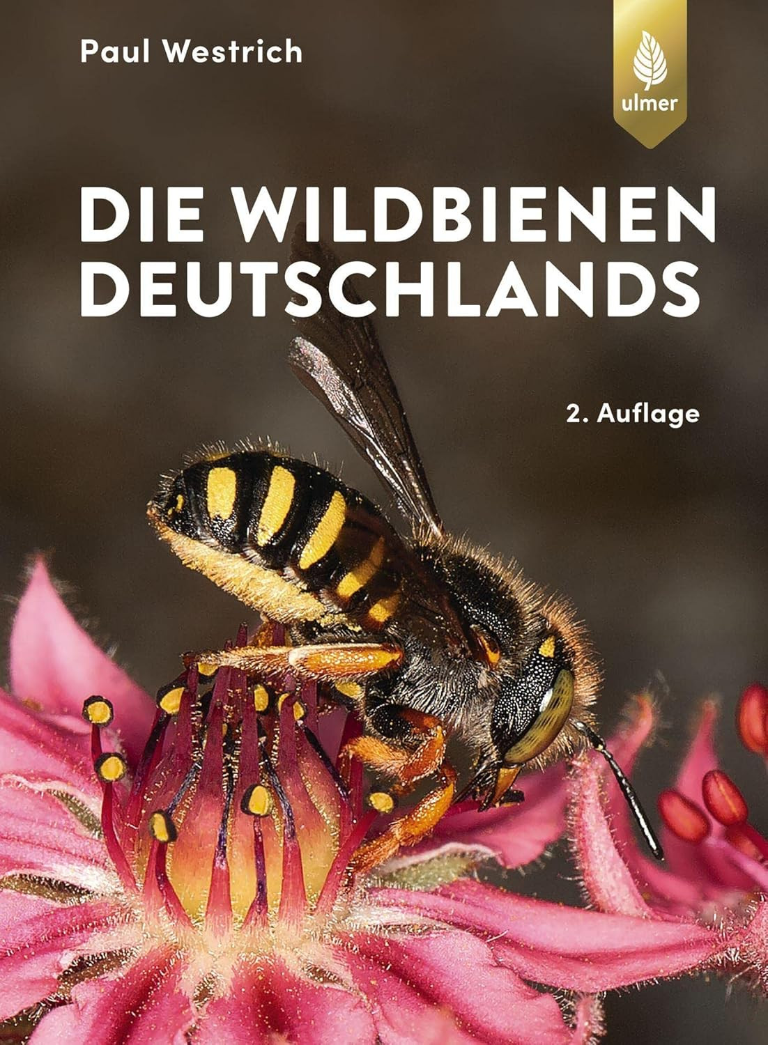 9783818608804 Die Wildbienen Deutschlands - Paul Westrich
