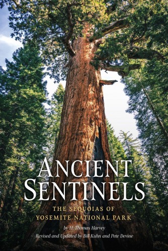 Ancient Sentinels: The Sequoias of Yosemite National Park by Thomas Harvey