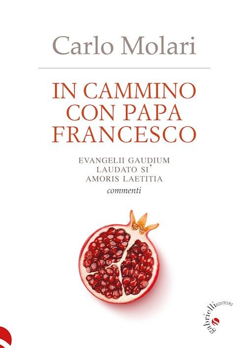 IN CAMMINO CON PAPA FRANCESCO  - MOLARI CARLO, NICASTRO F. (Curatore) -