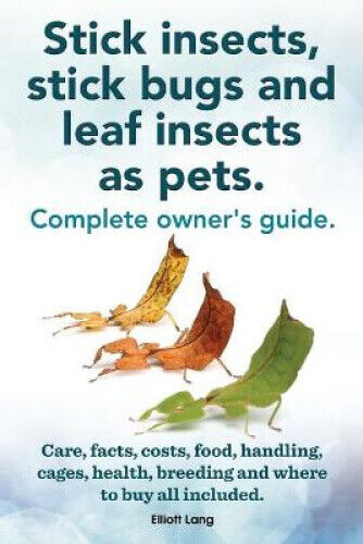 Stick Insects, Stick Bugs and Leaf Insects as Pets. Stick Insects Care, Facts,