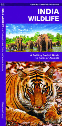 India Wildlife: A Folding Pocket Guide to Familiar Animals (Pocket Naturalist