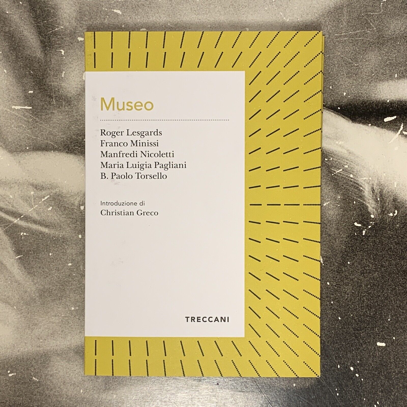 MUSEO - LESGARDS / MINISSI / NICOLETTI / PAGLIANI / TORSELLO 2022 TRECCANI