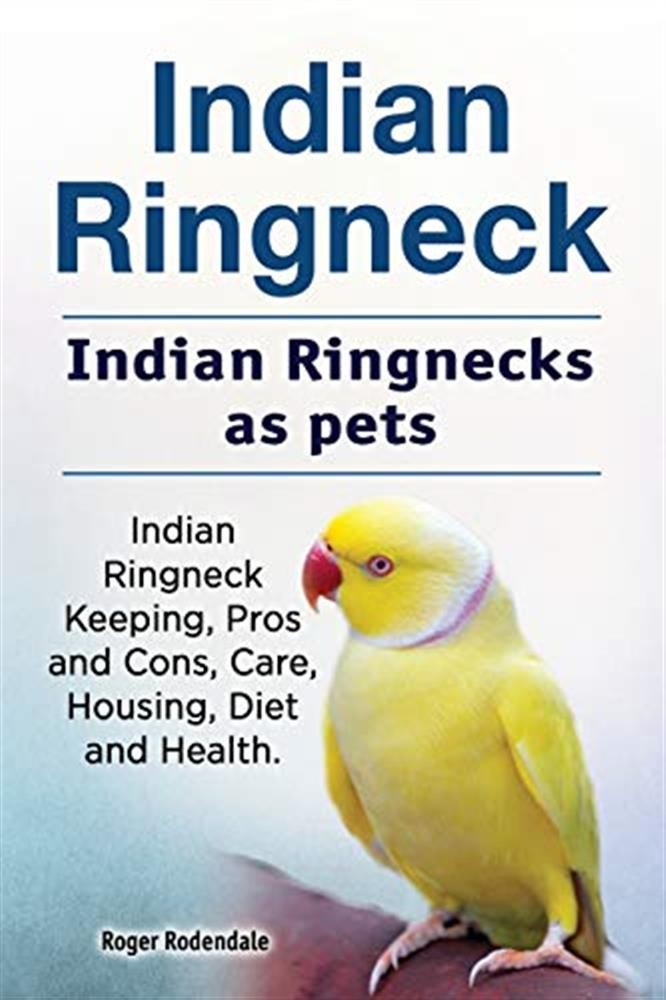 Indian ringneck. indian ringnecks as pets. indian ringneck keeping, pros a...