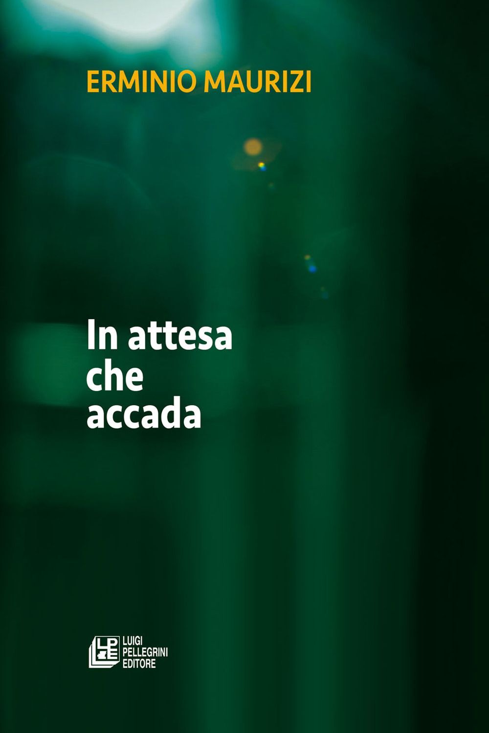 Libri Erminio Maurizi - In Attesa Che Accada