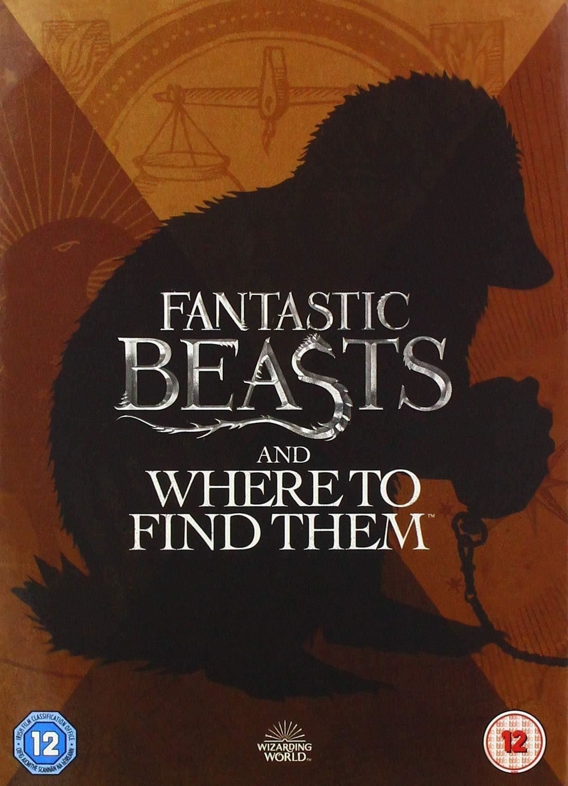 Dvd Fantastic Beasts And Where To Find Them [Edizione: Regno Unito]