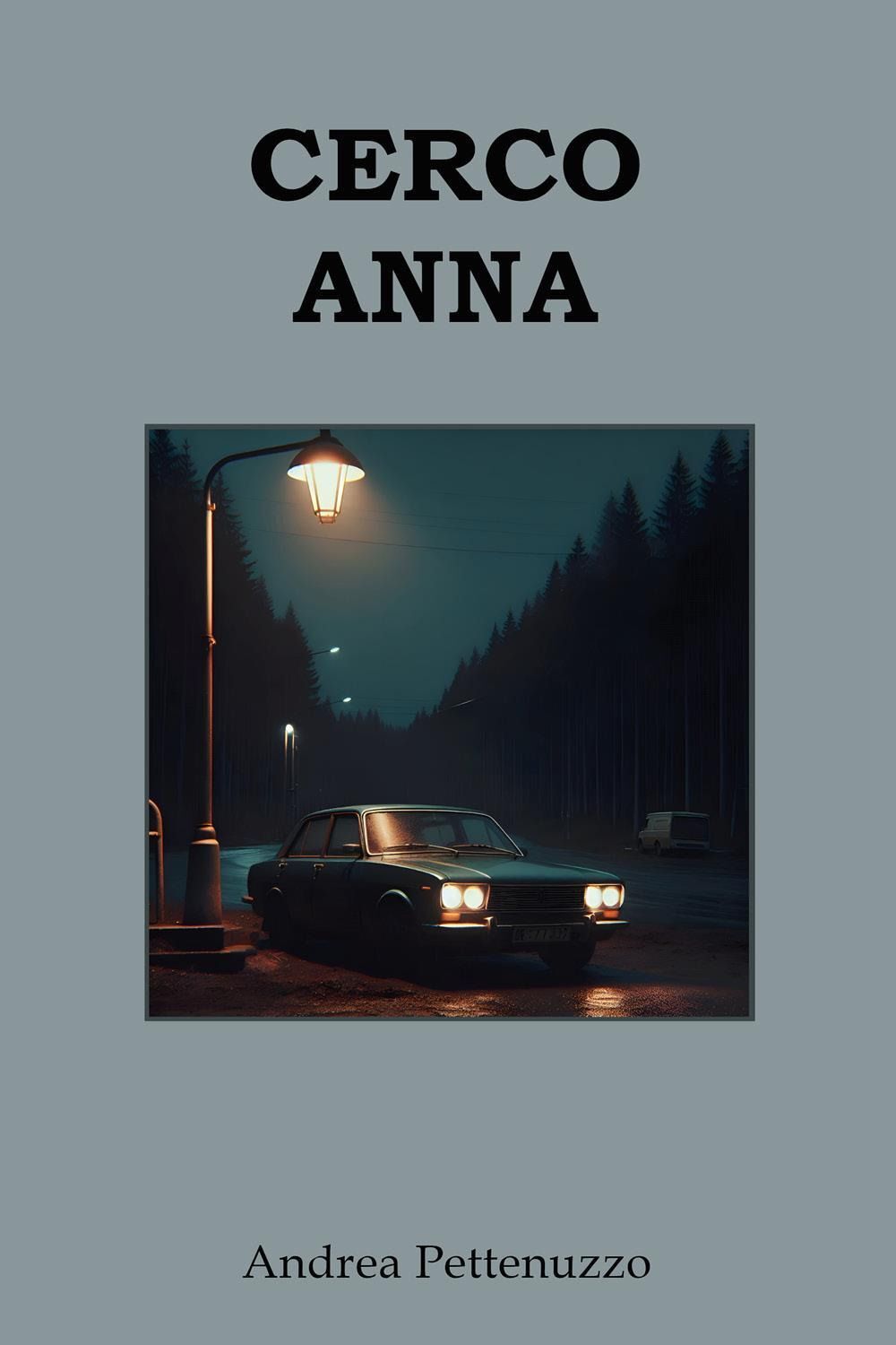 Libri Pettenuzzo Andrea - Cerco Anna