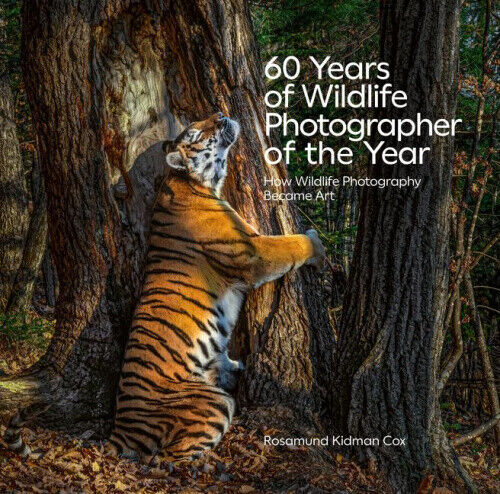 60 Years of Wildlife Photographer of the Year: How Wildlife Photography Became