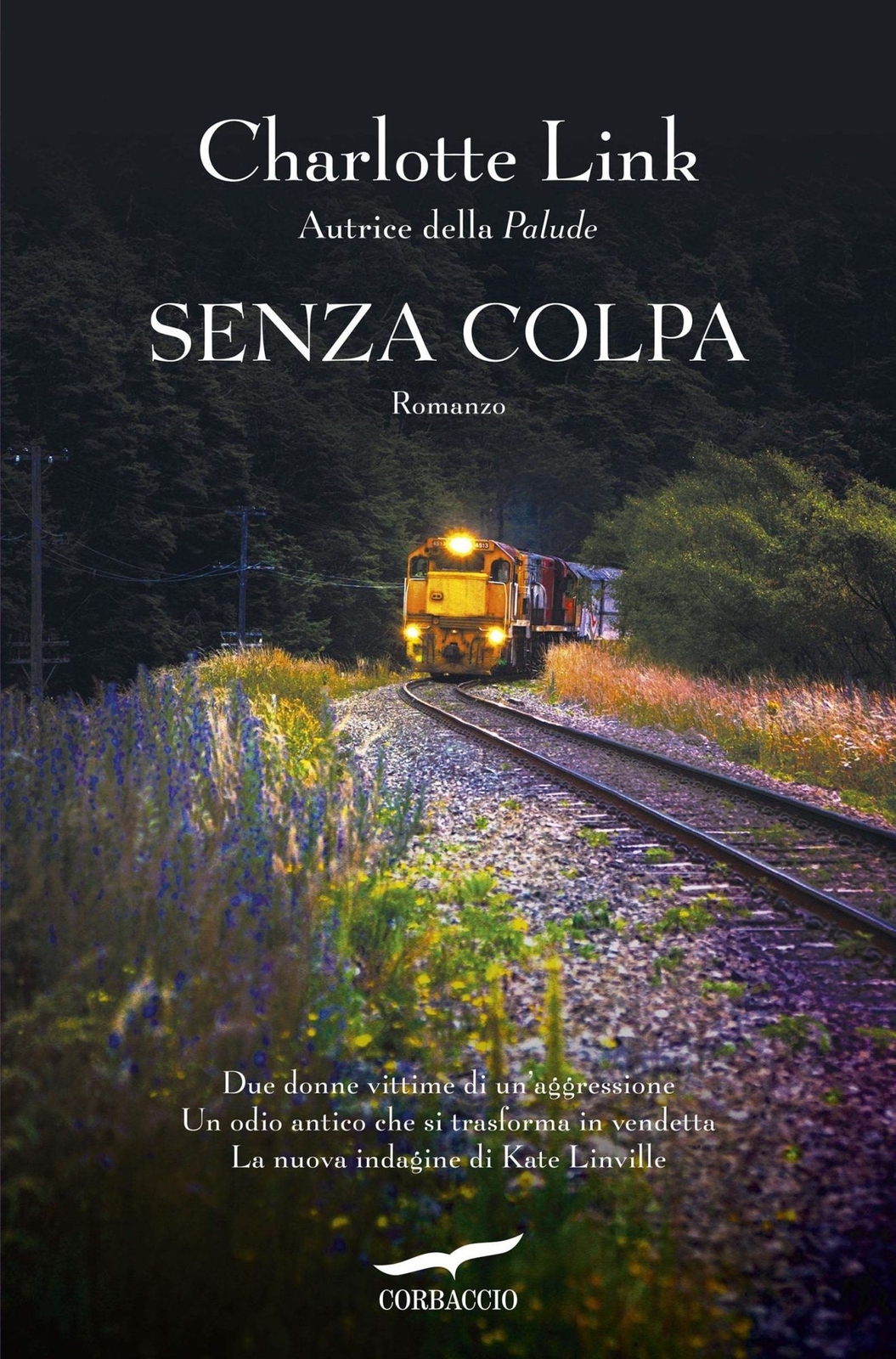 Libri Charlotte Link - Senza Colpa. Le Indagini Di Kate Linville
