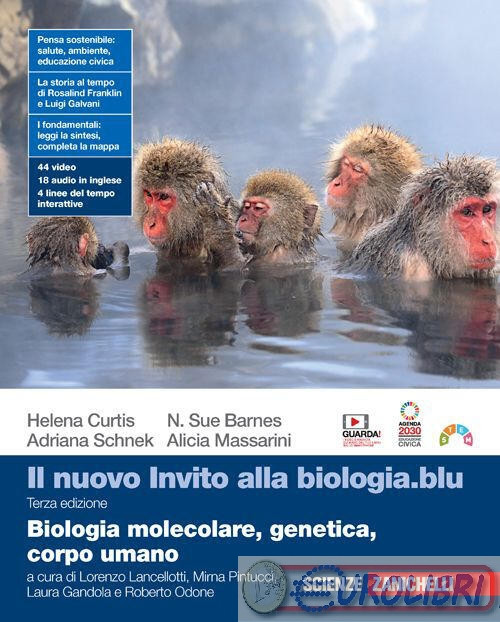 9788808832498 NUOVO INVITO ALLA BIOLOGIA BLU BIOLOGIA ZANICHELLI A.A.V.V.