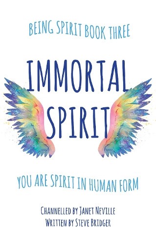 Immortal Spirit: You Are Spirit In Human Form (Being Spirit Trilogy The)