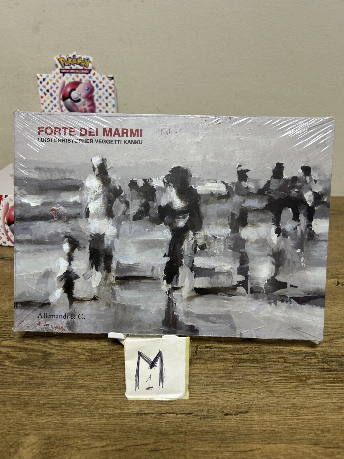 FORTE DEI MARMI CATALOGO Luigi Christopher Veggetti Kanu - ALLEMANDI