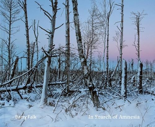 In Search of Amnesia by Barry Falk