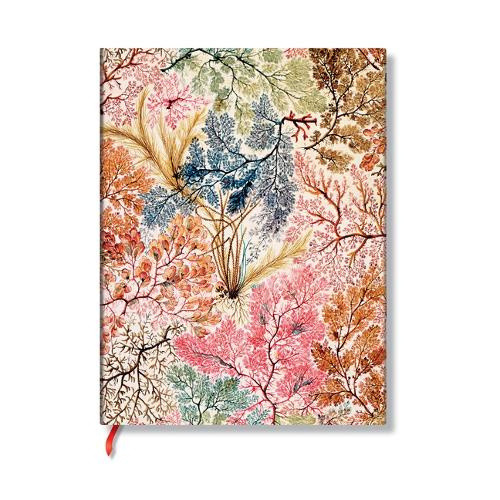 Anemone (William Kilburn) Ultra Lined Softcover Flexi Journal (Elastic Band