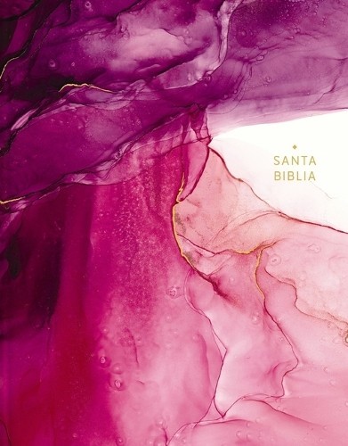 Vida Nbla-Nueva Nbla, Santa Biblia, Edición Artística Ilustra (Copertina rigida)