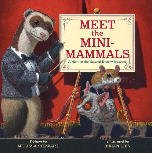Melissa Stewart Meet the Mini-Mammals (Copertina rigida)