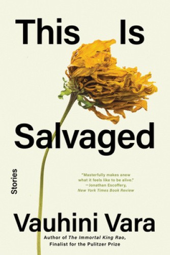 This Is Salvaged - Stories by Vauhini Vara
