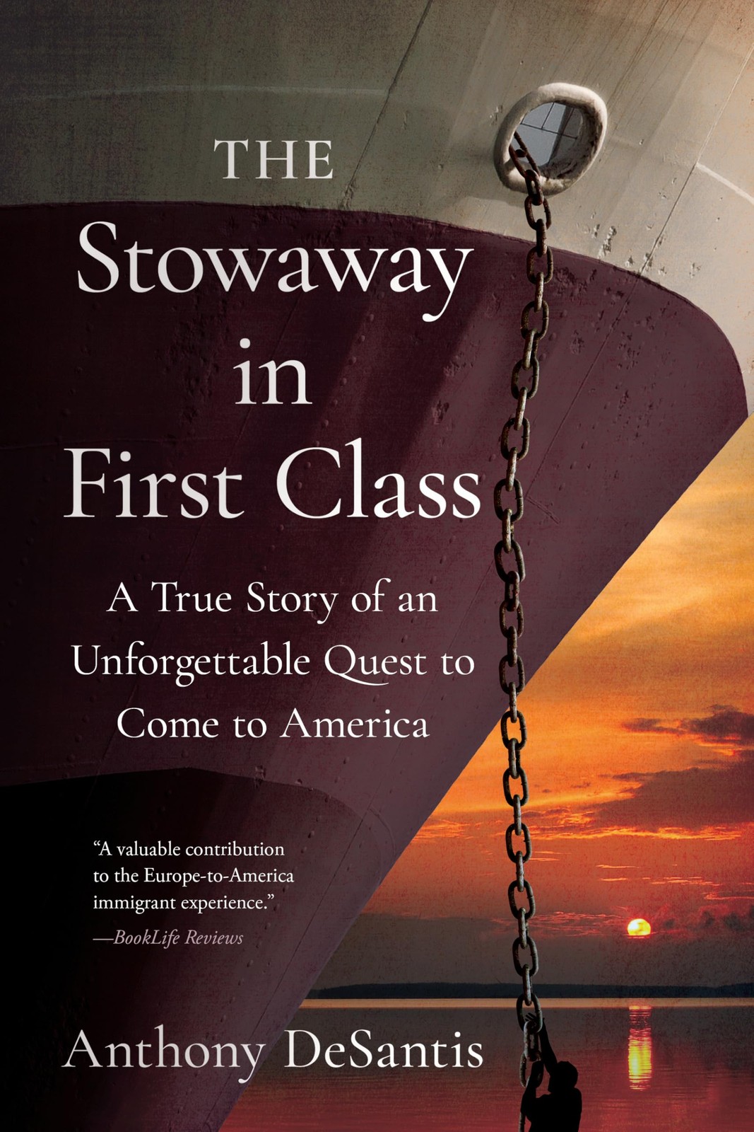 Anthony DeSantis The Stowaway in First Class (Copertina rigida)