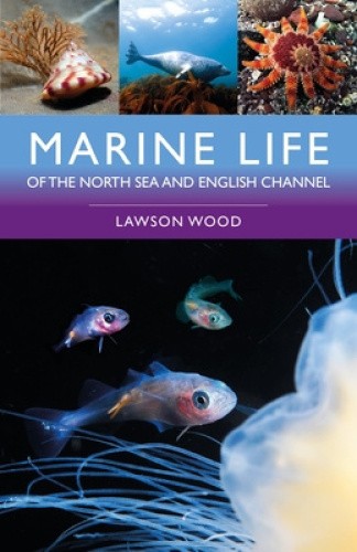 Marine Life of the North Sea and English Channel by Lawson Wood