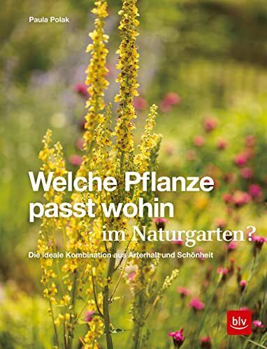 Paula Polak Welche Pflanze passt wohin im Naturgarten?: Die i (Copertina rigida)