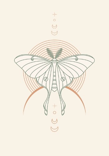 Insight Editions Balance (Tascabile) Inner World