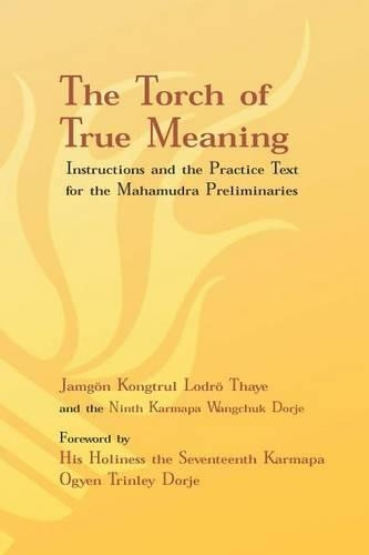 Jamgon Kongtrul Lodro Thaye Ogyen Trinley Dorje Nint Torch of True M (Tascabile)