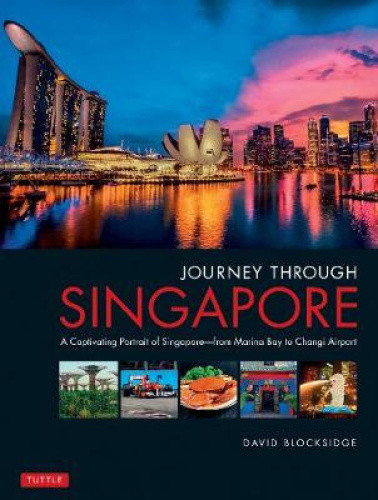 Journey Through Singapore: A Captivating Portrait of Singapore - from Marina