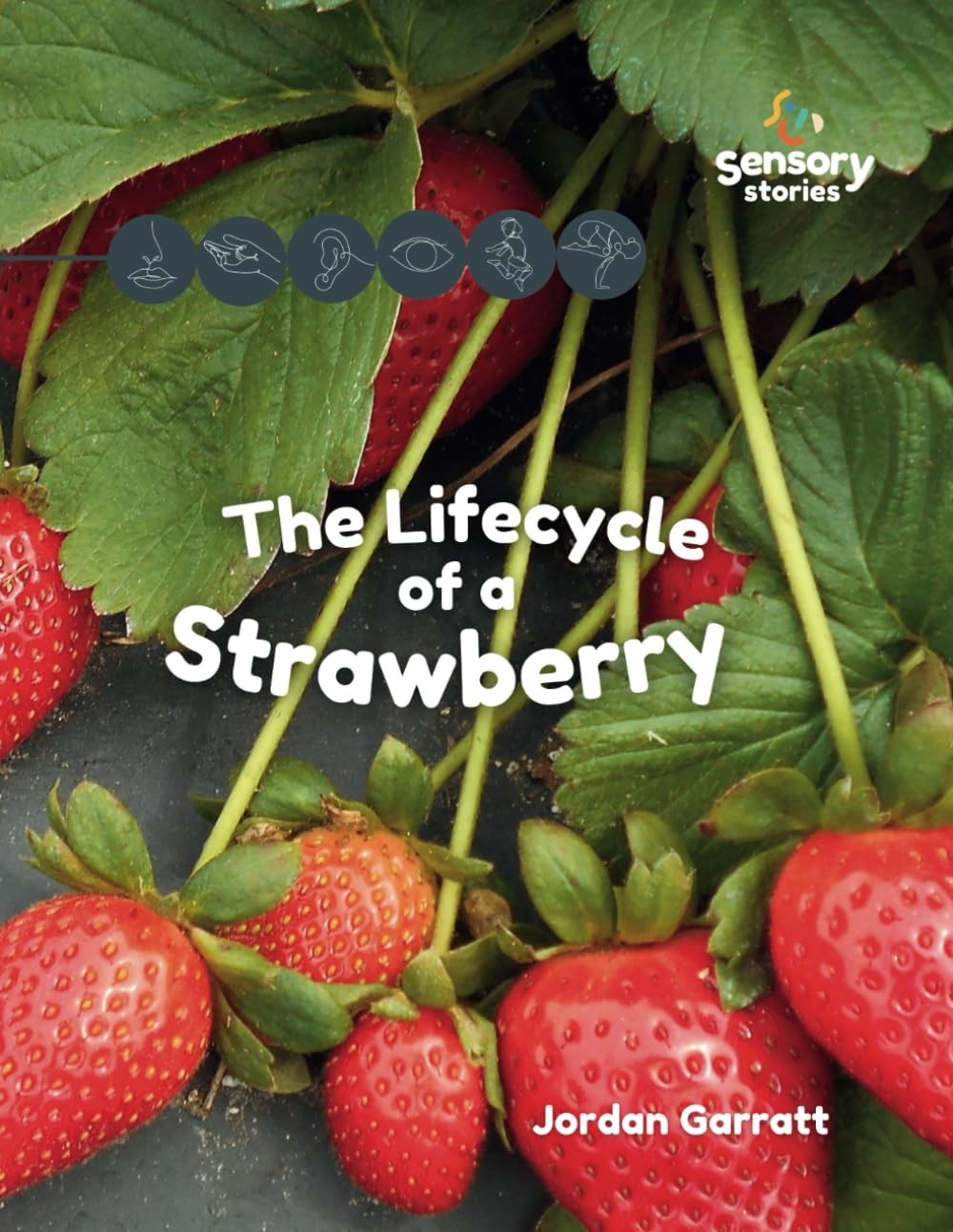 Jordan Garratt The Lifecycle of a Strawberry (Tascabile)