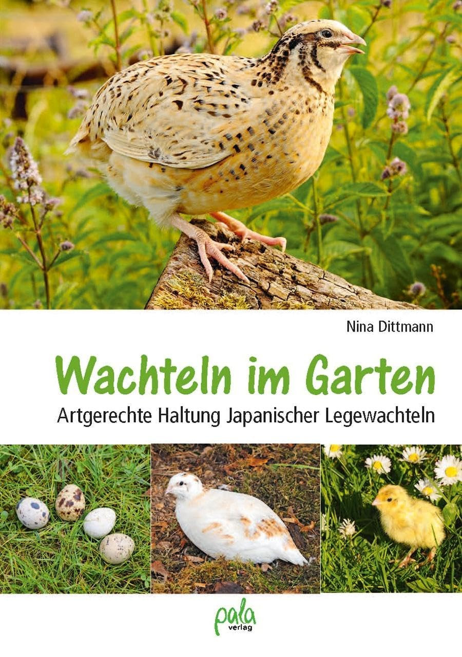 Nina Dittmann Detlef Dittmann Th Wachteln im Garten: Artgerechte Hal (Tascabile)