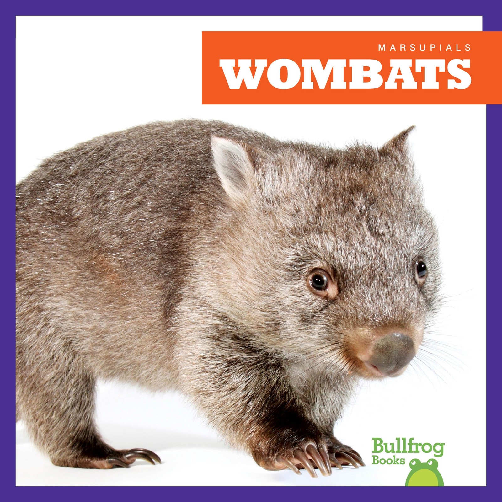 Natalie Deniston Wombats (Marsupials) (Library binding)