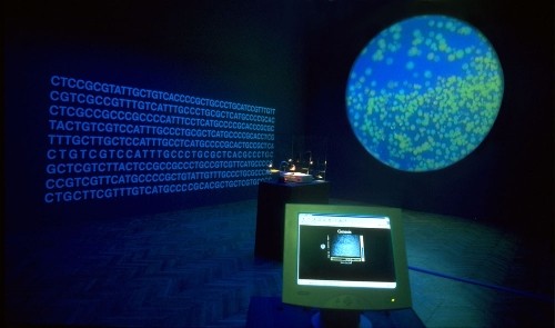 Robert E. Mitchell Bioart and the Vitality of Media (Tascabile)
