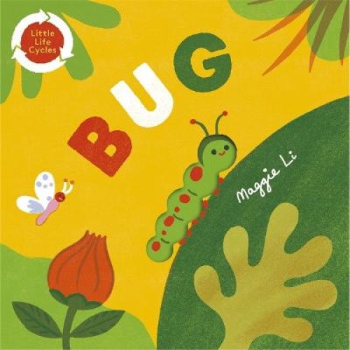 Little Life Cycles: Bug (little life cycles) by Maggie Li