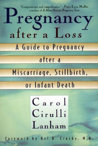 Pregnancy after a Loss: A Guide to Pregnancy after a Miscarriage, Stillbirth