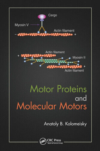 Motor Proteins and Molecular Motors by Anatoly B. Kolomeisky