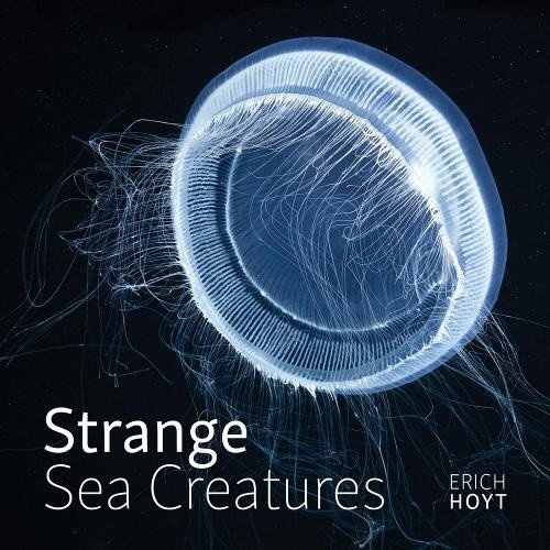 Strange Sea Creatures by Hoyt, Erich